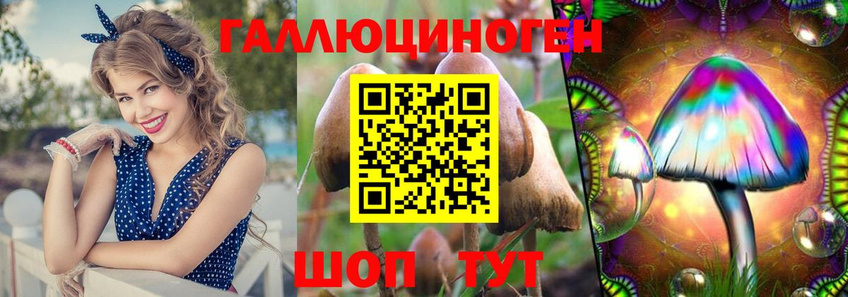 Галлюциногенные грибы MAGIC MUSHROOMS Шатура